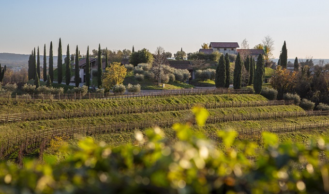 Le Vigne di Zam&#242;