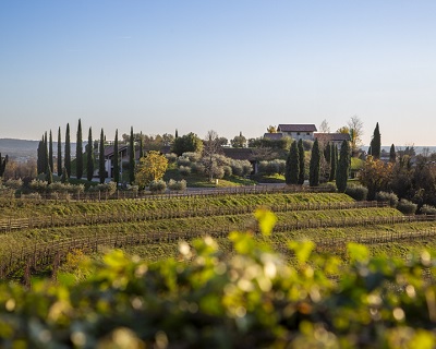 Le Vigne di Zam&#242;