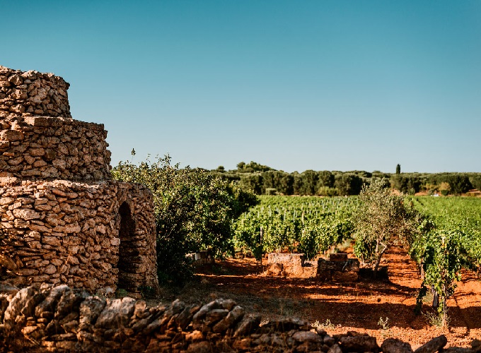 San Marzano