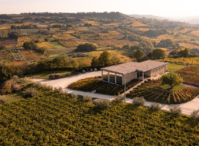 Collefrisio