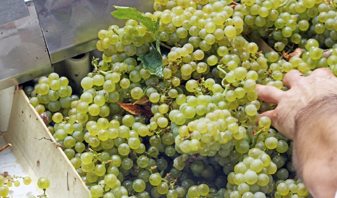 Cascina San Pietro