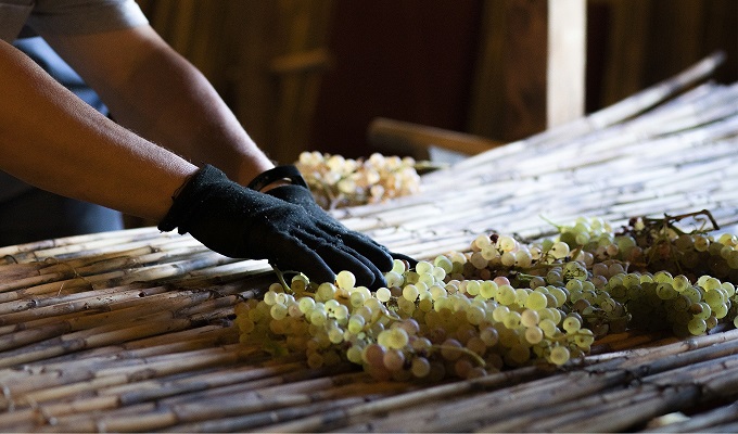 Vermentino