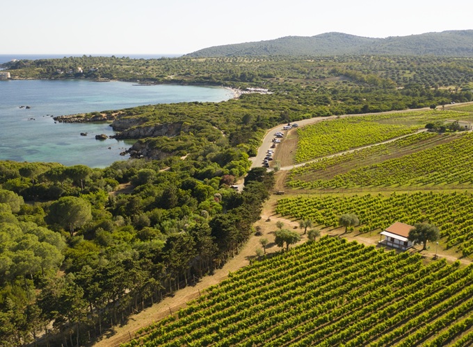 Cantina Santa Maria La Palma