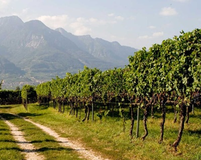 Castelfeder