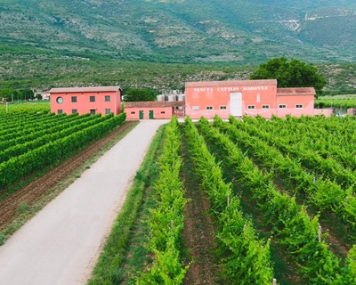 Cataldi Madonna