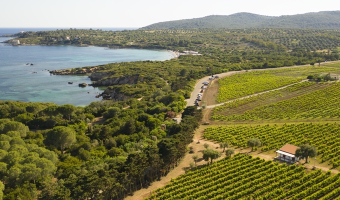 Cantina Santa Maria La Palma