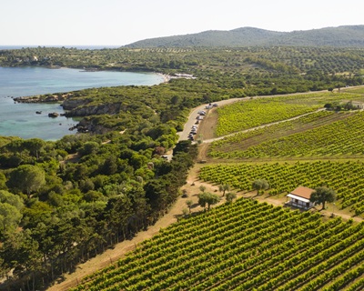 Cantina Santa Maria La Palma