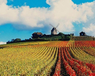 G.H. Mumm