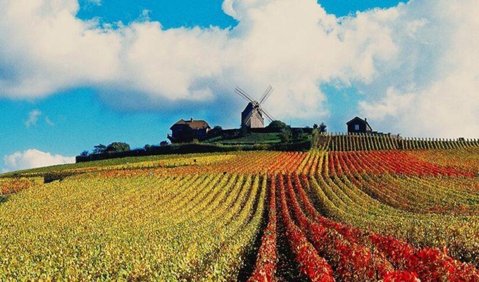 G.H. Mumm