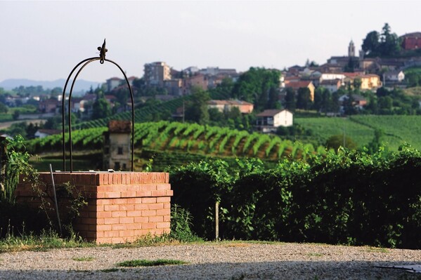 Agostino Pavia