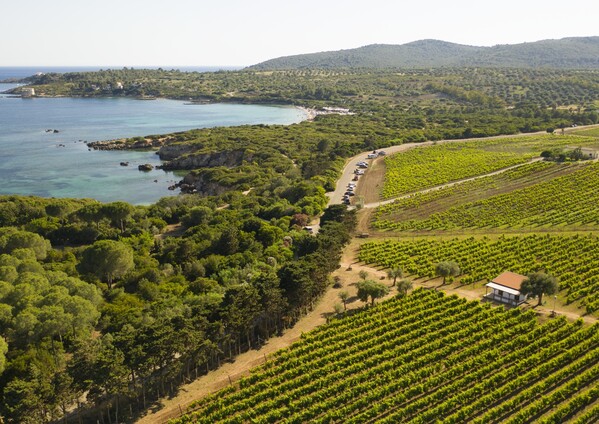 CANTINA SANTA MARIA LA PALMA