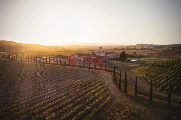 TENUTA FERTUNA