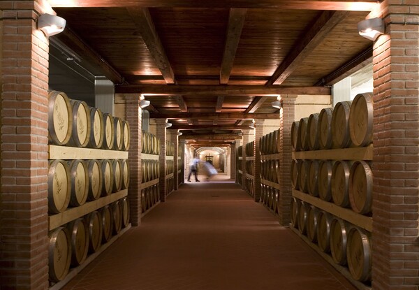 CANTINA DI SANTADI