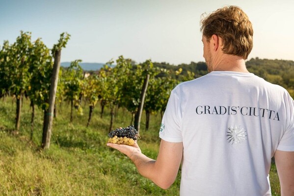 GRADIS'CIUTTA