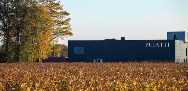 CANTINA PUIATTI