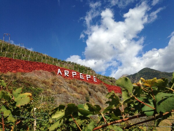 ARPEPE