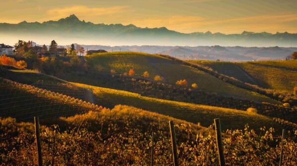 CASCINA BRUCIATA
