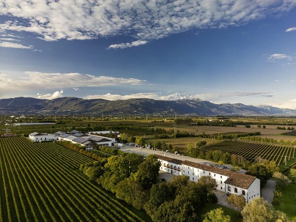 BOTTEGA