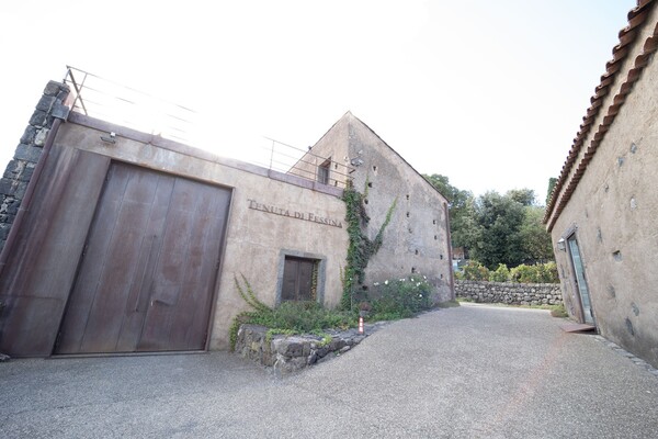 TENUTA DI FESSINA