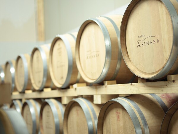 TENUTA ASINARA