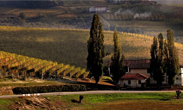 PODERI COLLA