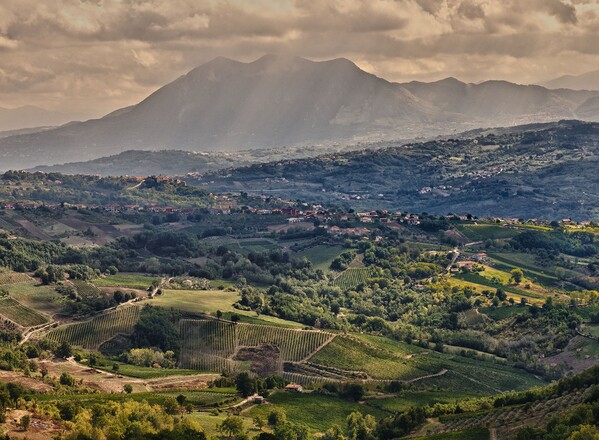 VESEVO