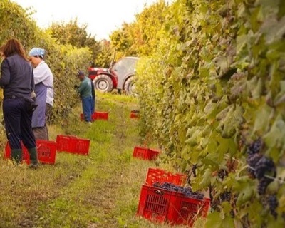 Piemonte La Fusina