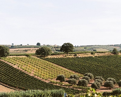 Molise Di Majo Norante