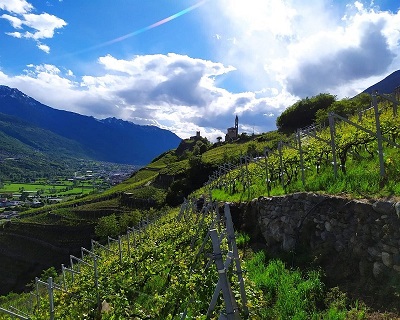 Valtellina Aldo Rainoldi