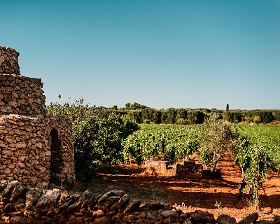 Puglia San Marzano