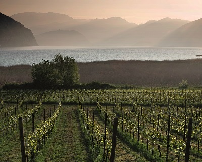 Franciacorta Contadi Castaldi