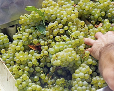 Franciacorta Cascina San Pietro