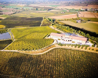 Lugana Perla del Garda