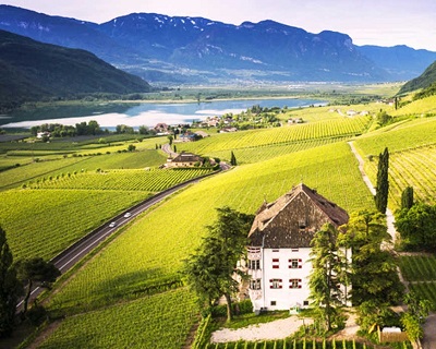 Alto Adige Elena Walch