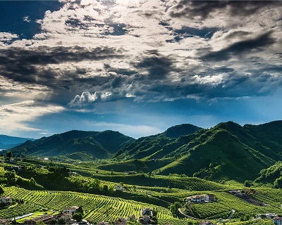 Prosecco Le Colture
