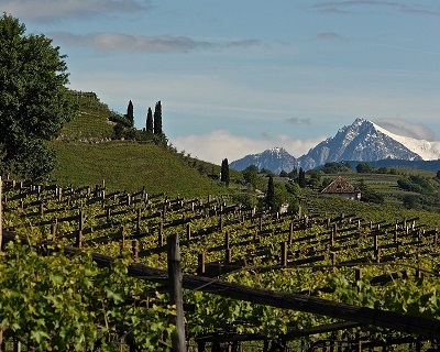 Alto Adige Alois Lageder