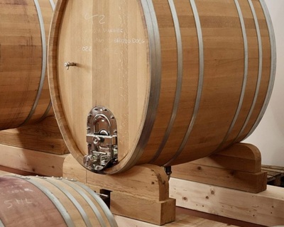 Abruzzo Tenuta Antonini