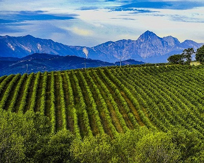 Abruzzo Fattoria Giuseppe Savini