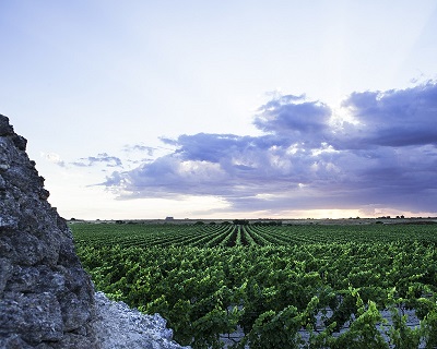 Puglia Produttori di Manduria