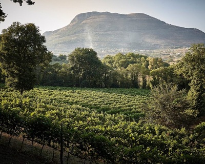 Campania Montevetrano