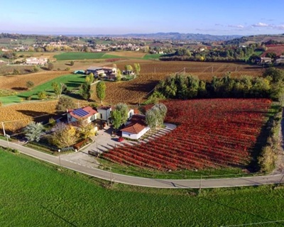 Lambrusco Fattoria Moretto