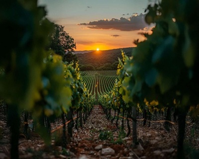 Abruzzo Cantine Torri