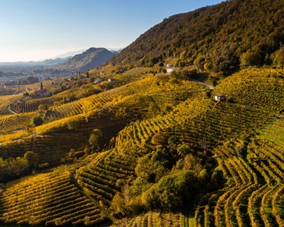 Prosecco Soligo
