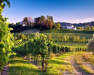 Prosecco Masottina