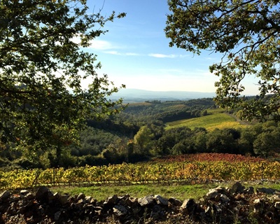 Toscana Castellare