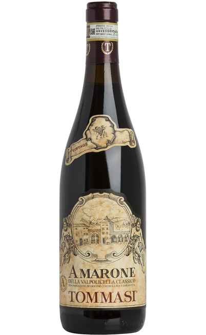 Amarone Classico della Valpolicella DOCG [TOMMASI]