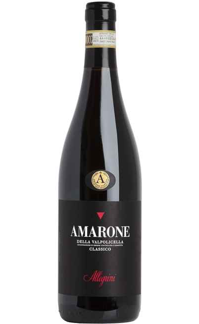 Amarone della Valpolicella Classico 2017 DOCG [Allegrini]