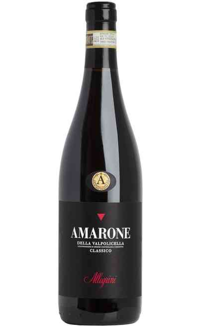 Amarone della Valpolicella Classico 2017 DOCG