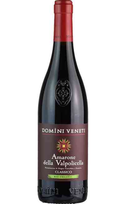 Santico Amarone della Valpolicella Classico DOCG - Santi