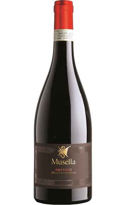 Amarone della Valpolicella DOCG [Musella]